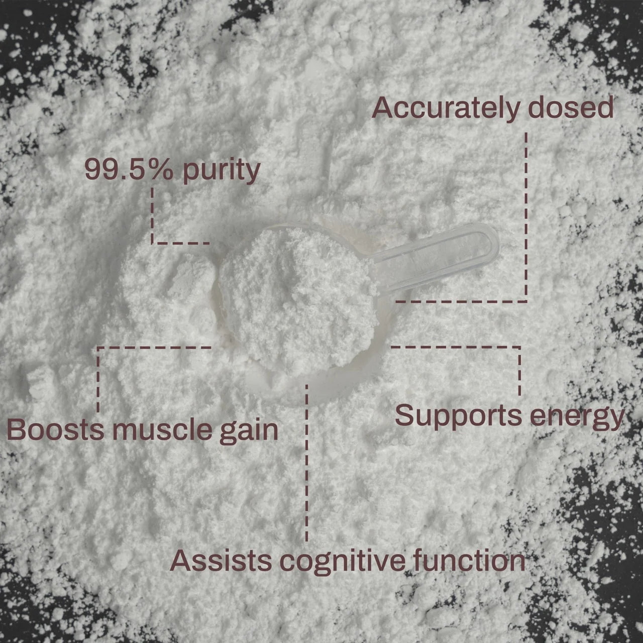 ATP Science Noway Creatine Monohydrate