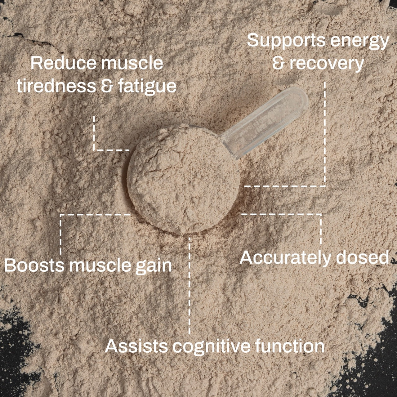 ATP Science Noway Creatine + Electrolytes