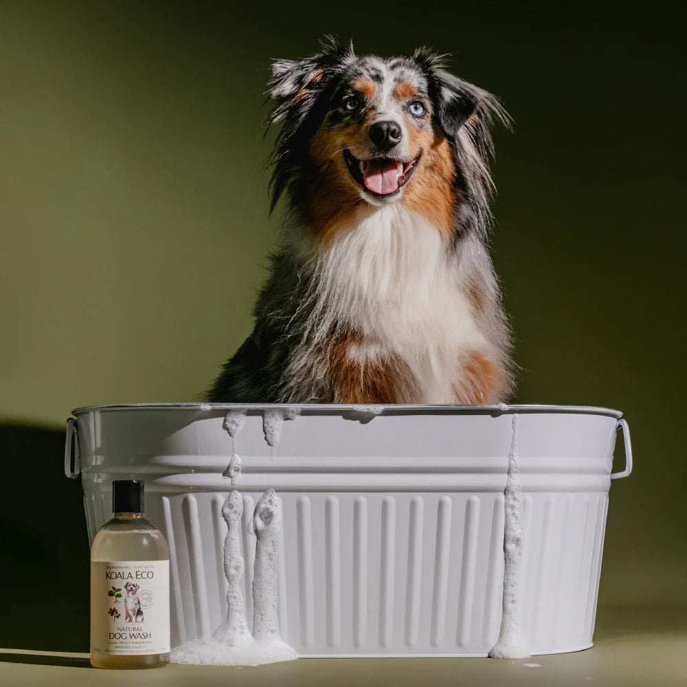 Koala Eco Dog Wash Marjoram & Rosalina