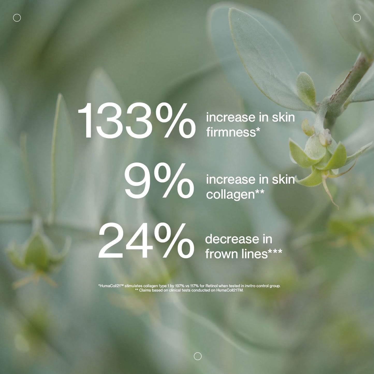 Jojoba Co Ultimate Serum