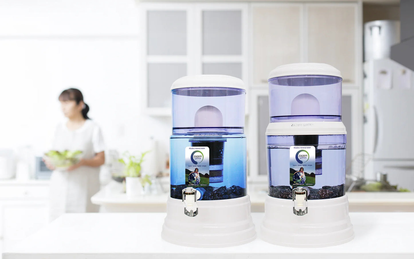 Zazen Alkaline Water Filter System