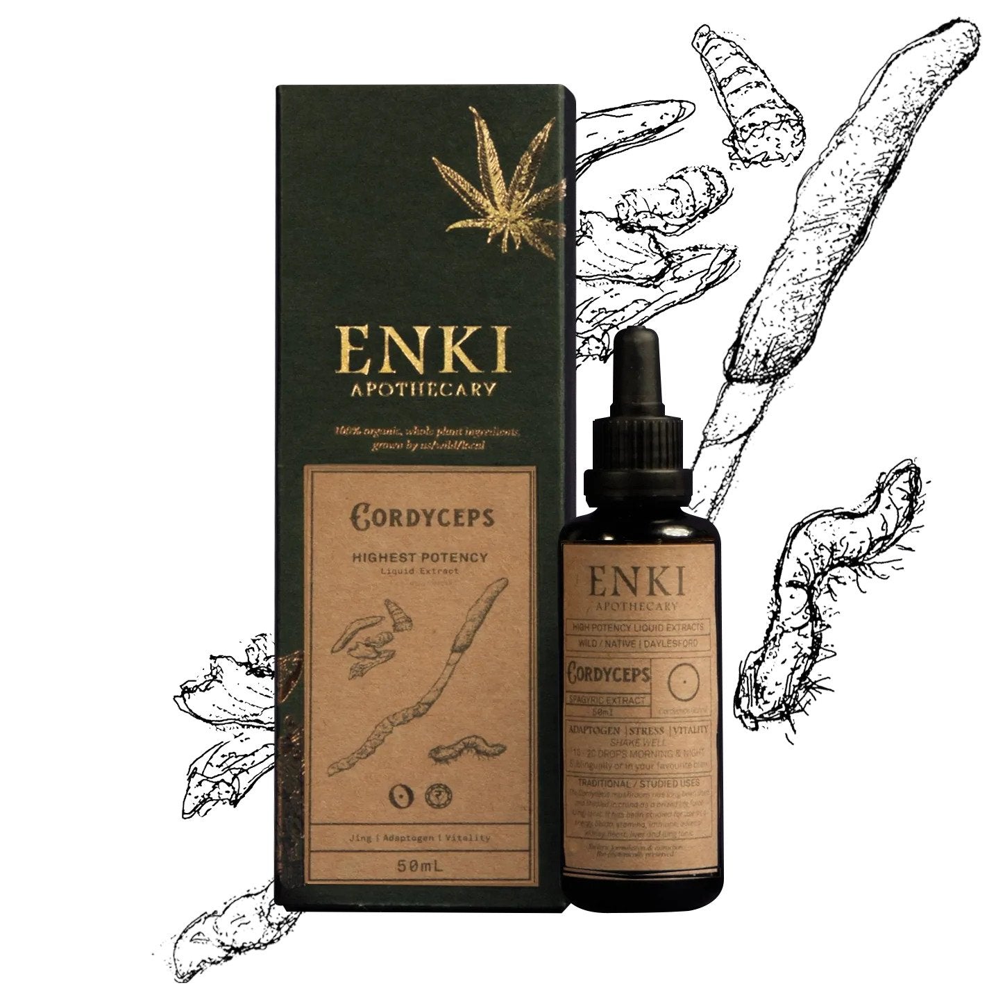ENKI Organics Cordyceps