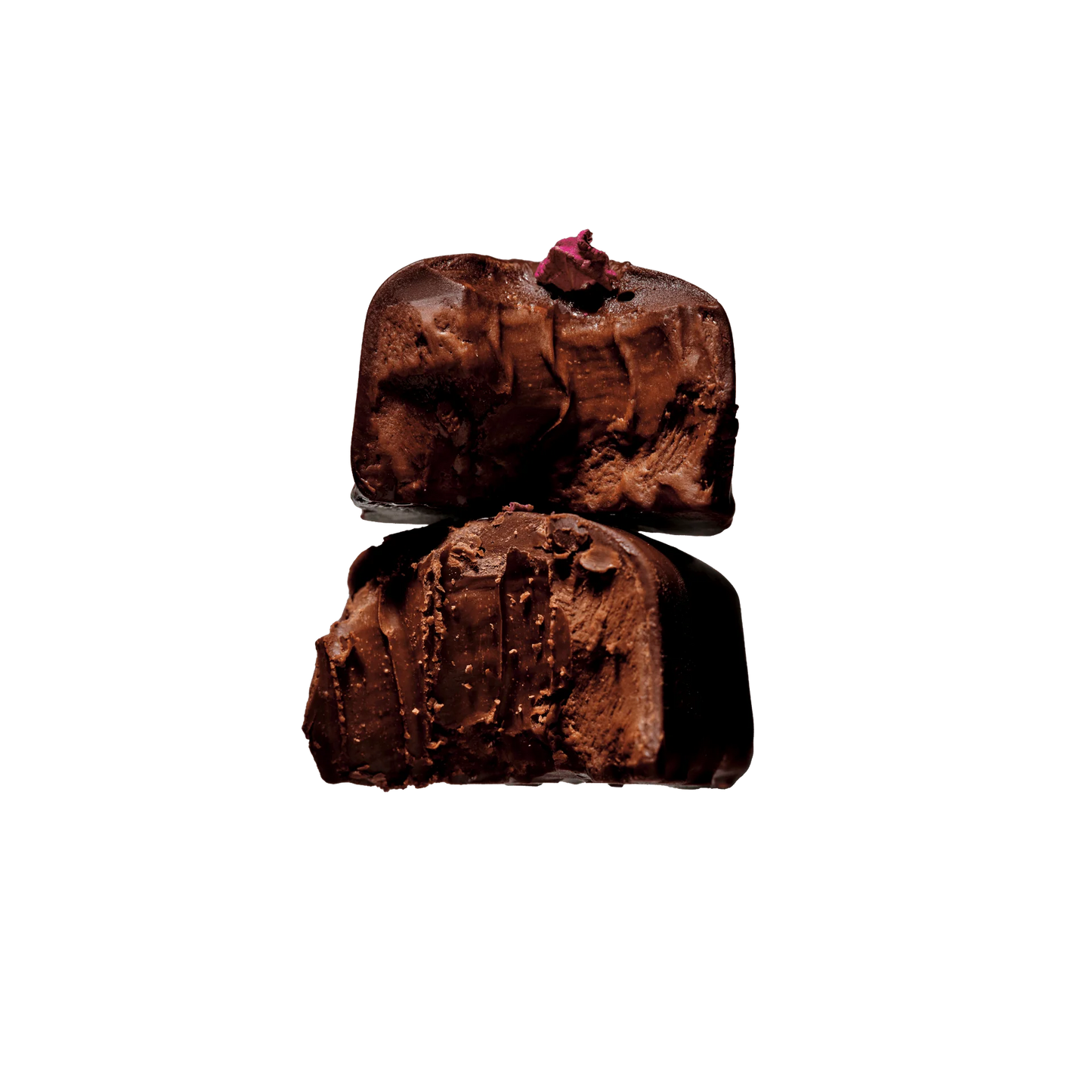 Loco Love Wild Rose