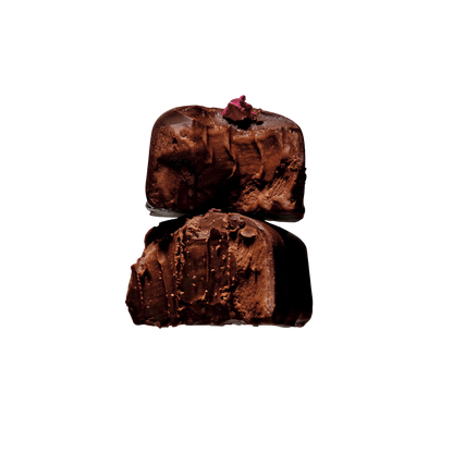 Loco Love Wild Rose