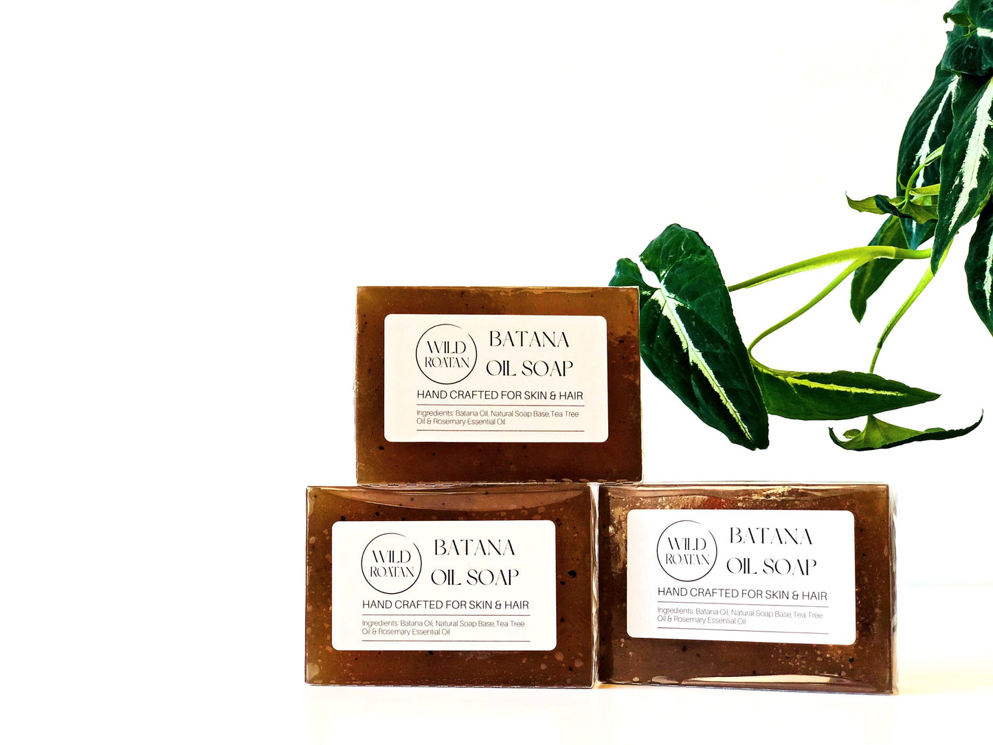 Wild Roatan Batana Soap