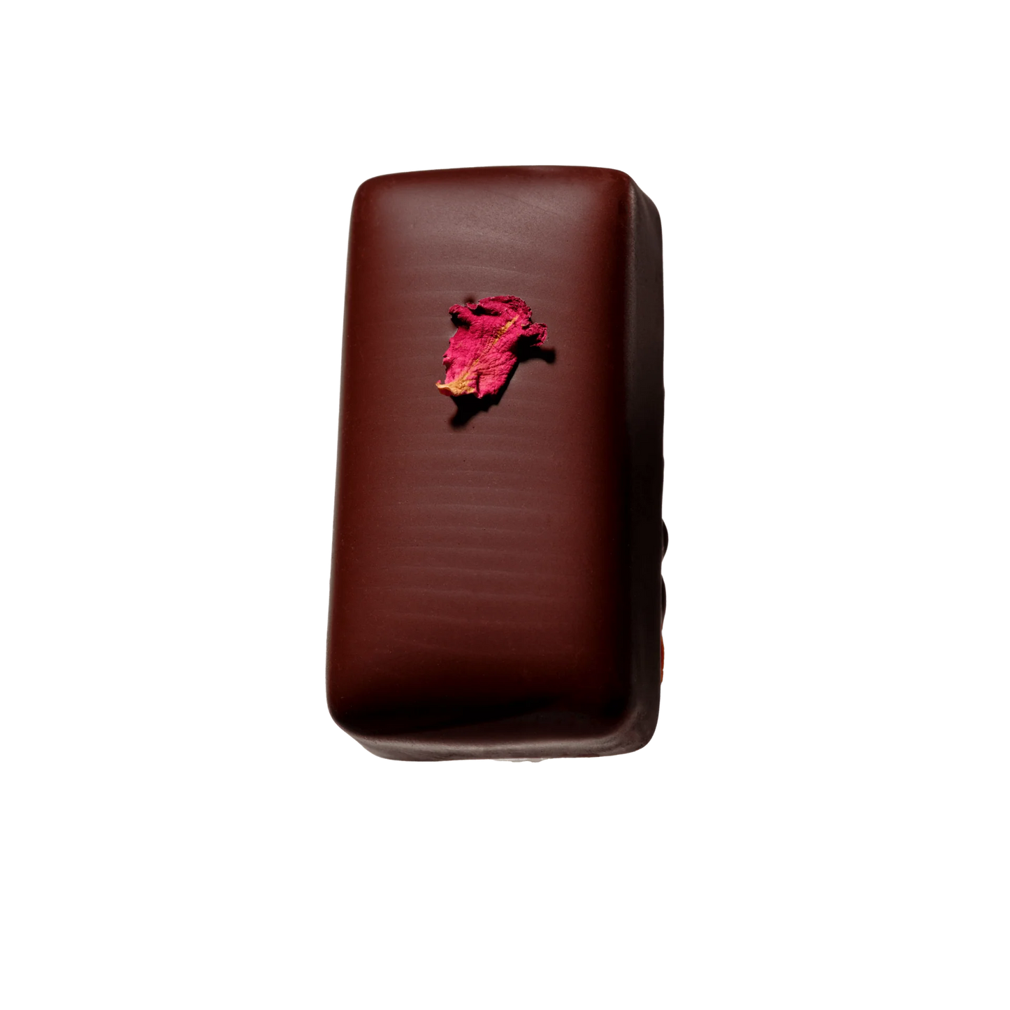 Loco Love Wild Rose