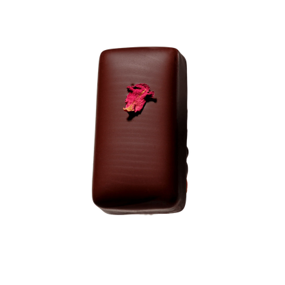 Loco Love Wild Rose