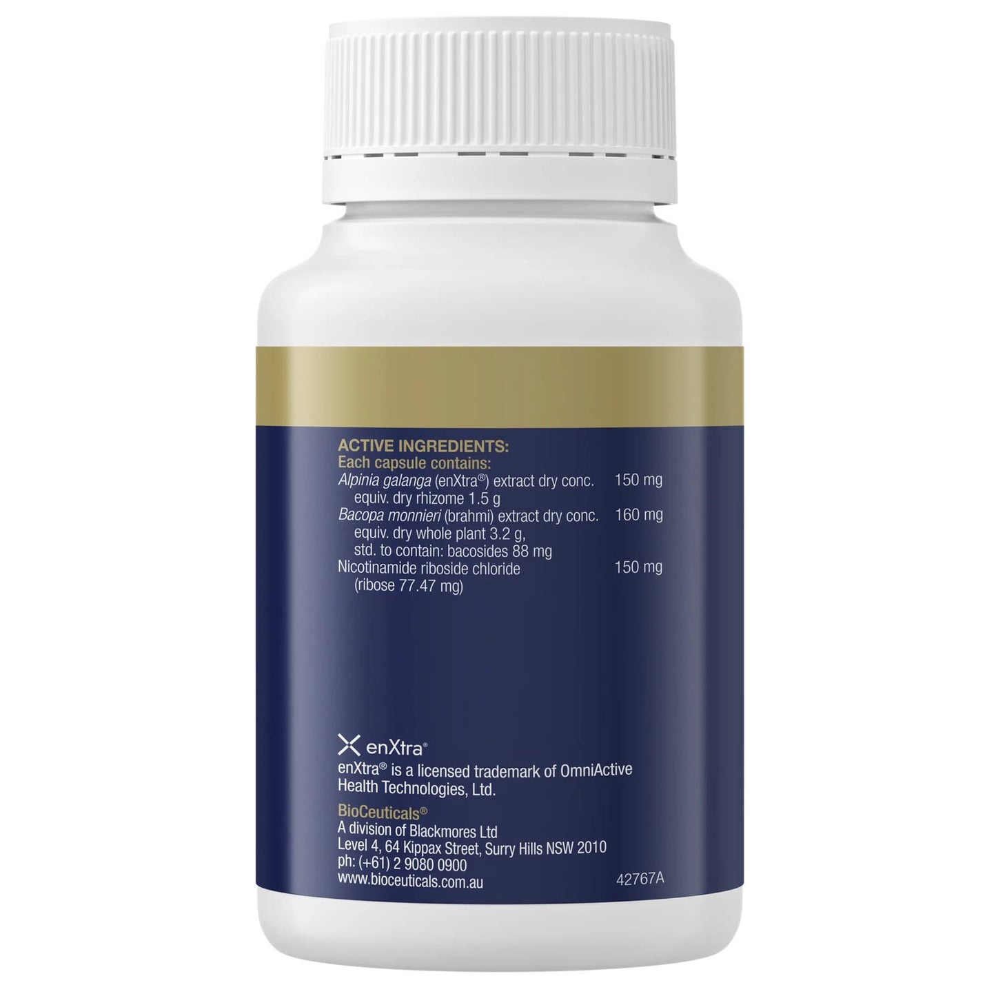Bioceuticals Cognition Performance