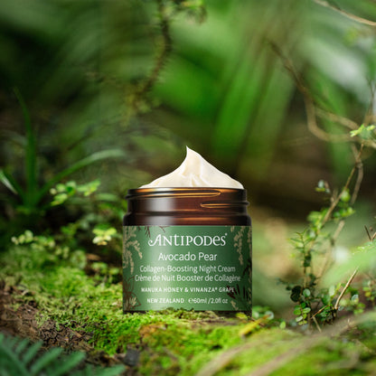 Antipodes Avocado Pear Collagen-Boosting Night Cream
