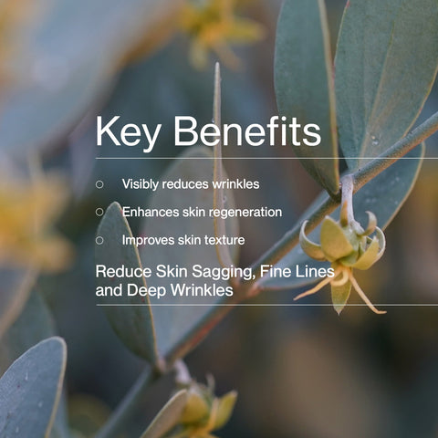 Jojoba Co Ultimate Night Cream