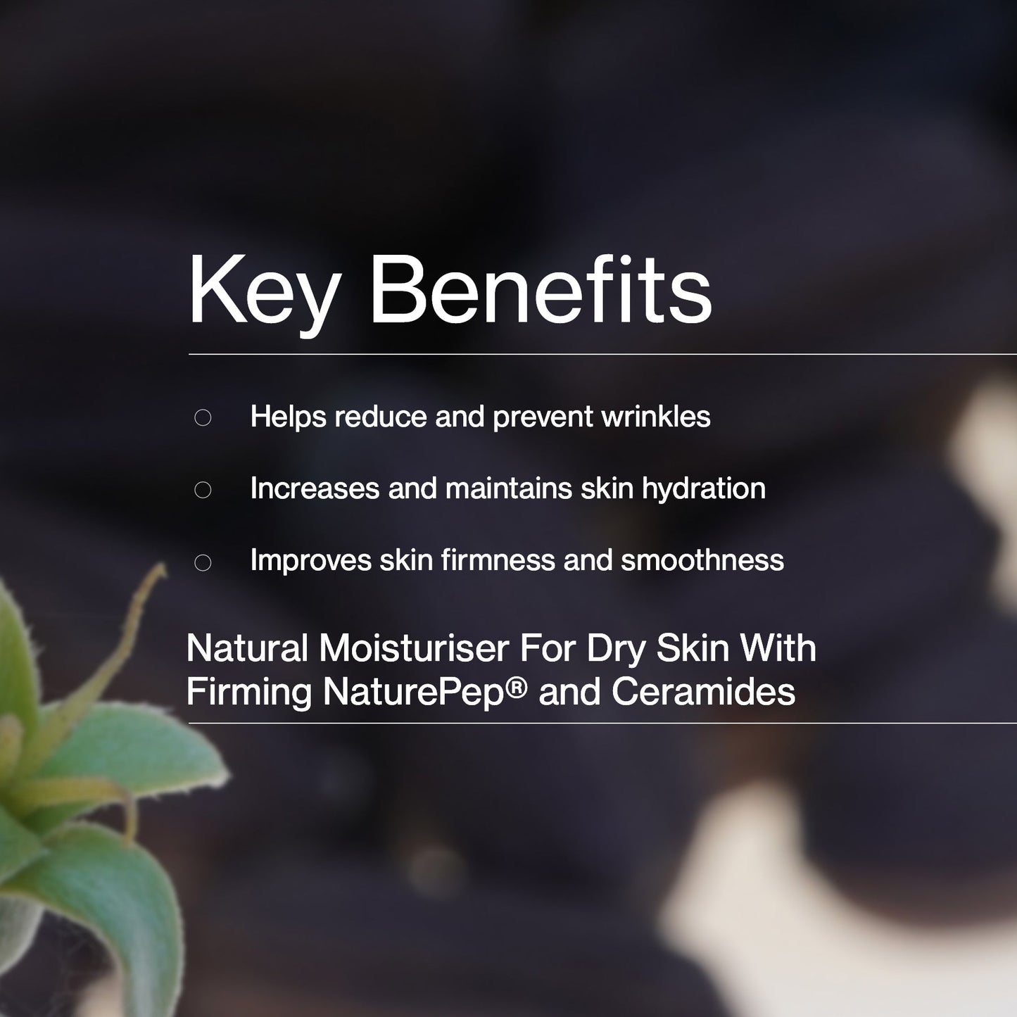 Jojoba Co Hydrating Day Cream