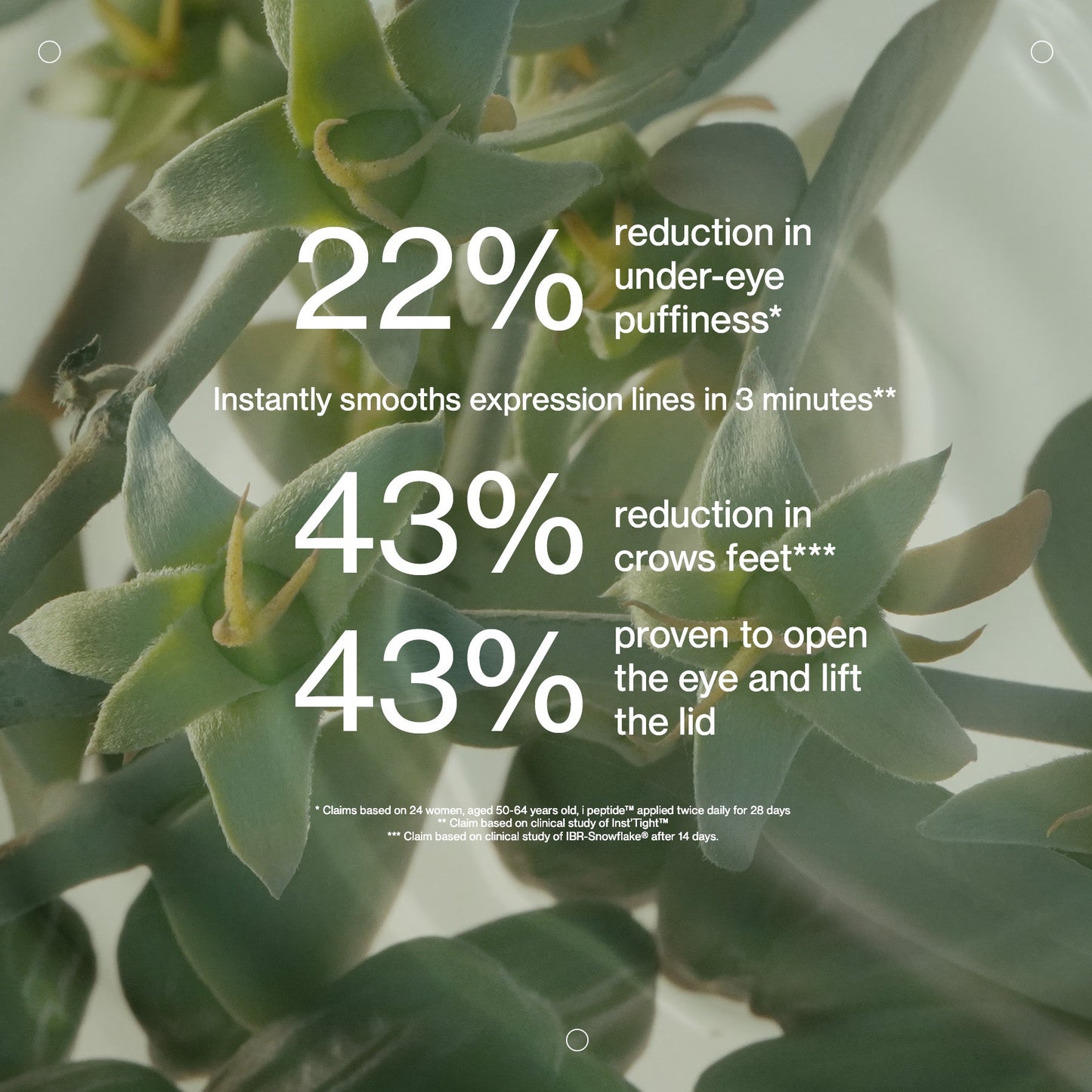 The Jojoba Company Transformative Eye Serum