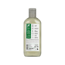 Dr Organic Shampoo Organic Aloe Vera