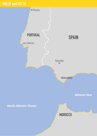 GOOD FISH Spanish Mackerel in Olive Oil