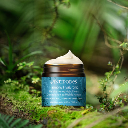 Antipodes Harmony Hyaluronic Manuka Honey Night Cream