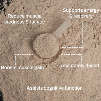 ATP Science Noway Creatine + Magnesium