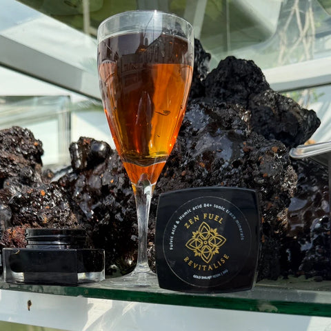 Zen Fuel Pure Shilajit Resin