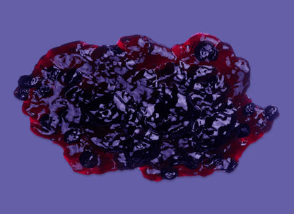 Pure Eden Sugar Free Spread (Blueberry)