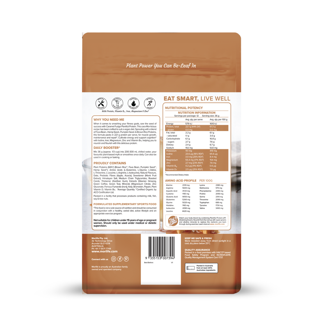 Morlife Plantiful Protein Caramel Fudge