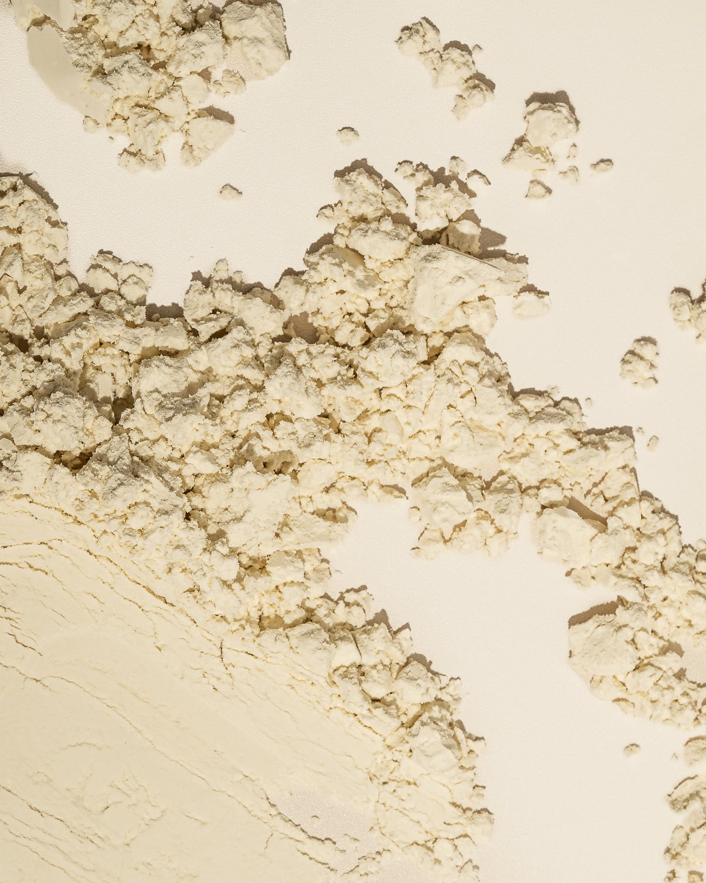 Inca Wellness Skin Body Gut Plant Protein Powder Vanilla
