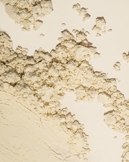 Inca Wellness Skin Body Gut Plant Protein Powder Vanilla