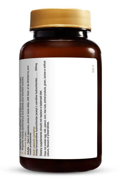 Herbs of Gold - Acetyl L-Carnitine