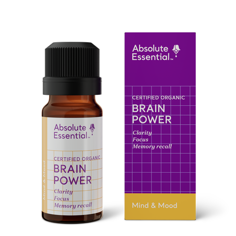 Absolute Essential Brain Power Oil