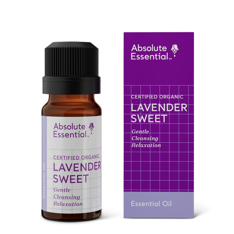 Absolute Essential Lavender Sweet Oil