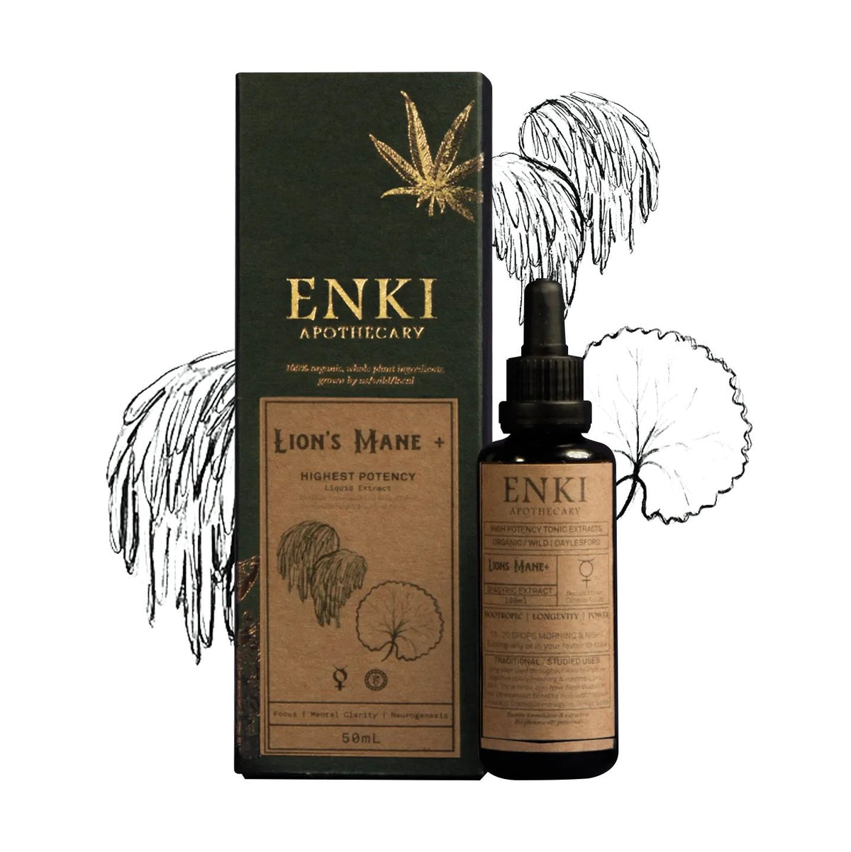 ENKI Organics Lions Mane