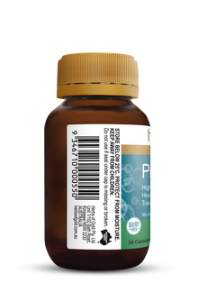 Herbs of Gold - Probiotic + SB HS