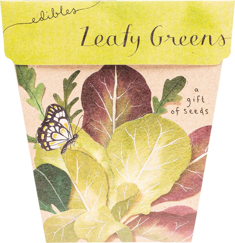 SOW 'N SOW Gift of Seeds Leafy Greens