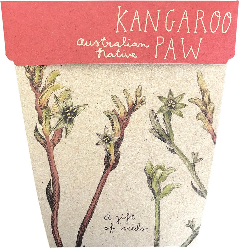 SOW 'N SOW Gift of Seeds Kangaroo Paw