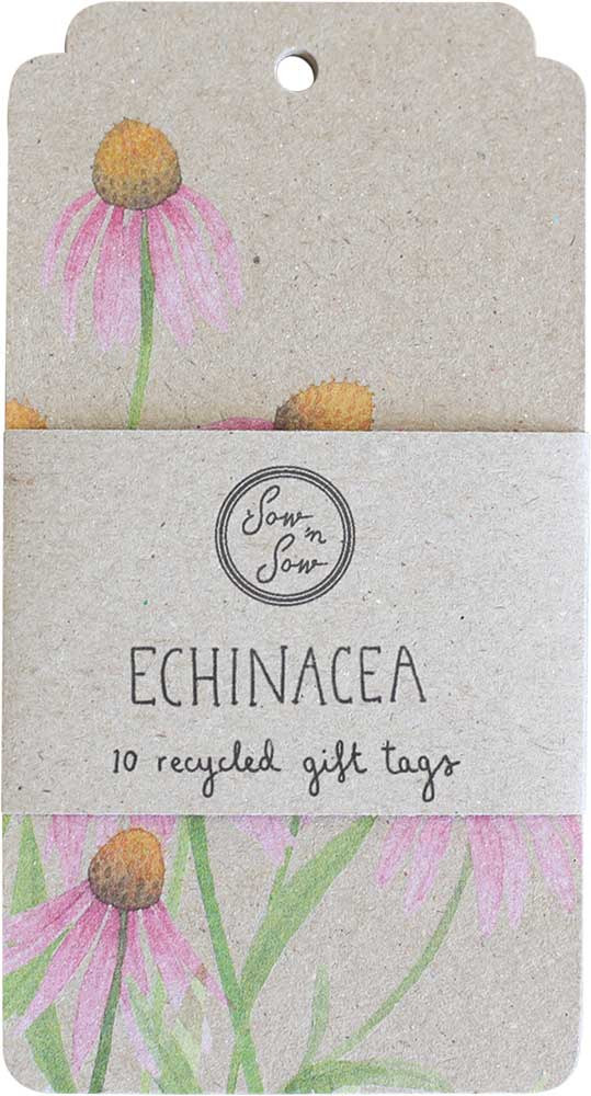 SOW 'N SOW Recycled Gift Tags 10 Pack Echinacea