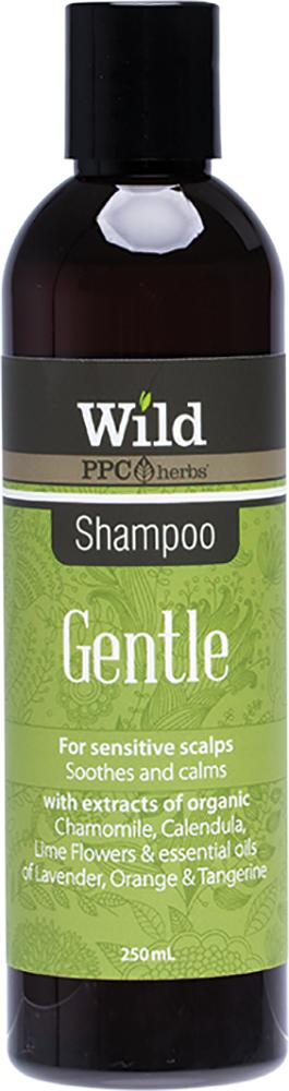 WILD Shampoo Gentle