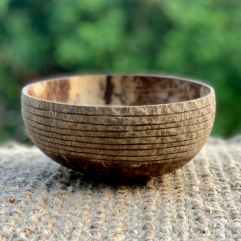 Eco Earth Coconut Bowl