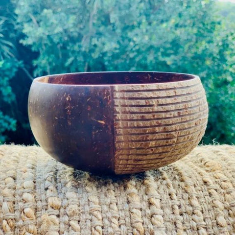 Eco Earth Coconut Bowl