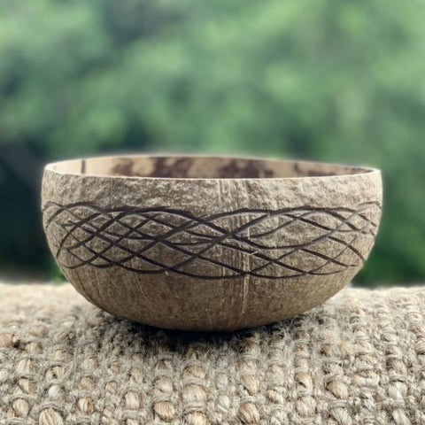 Eco Earth Coconut Bowl