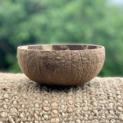 Eco Earth Coconut Bowl