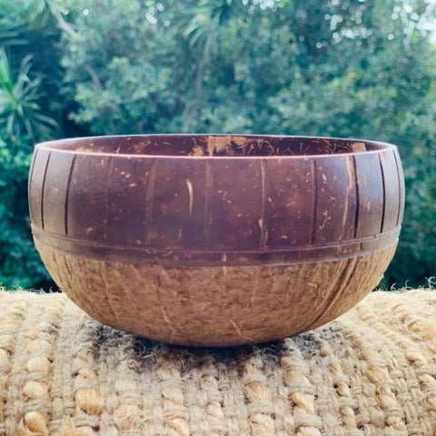 Eco Earth Coconut Bowl