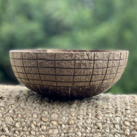 Eco Earth Coconut Bowl