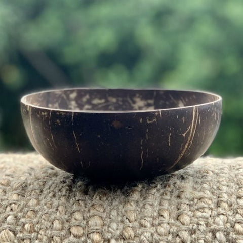 Eco Earth Coconut Bowl