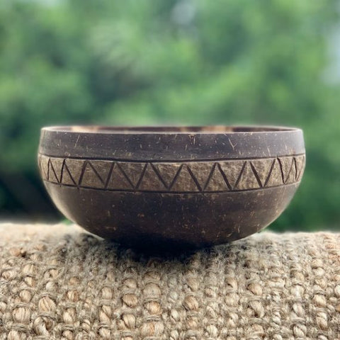 Eco Earth Coconut Bowl