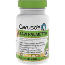 Carusos Saw Palmetto