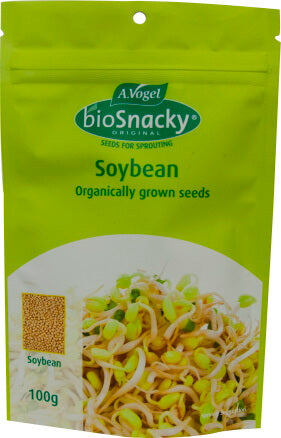 A.Vogel Soybean Seeds